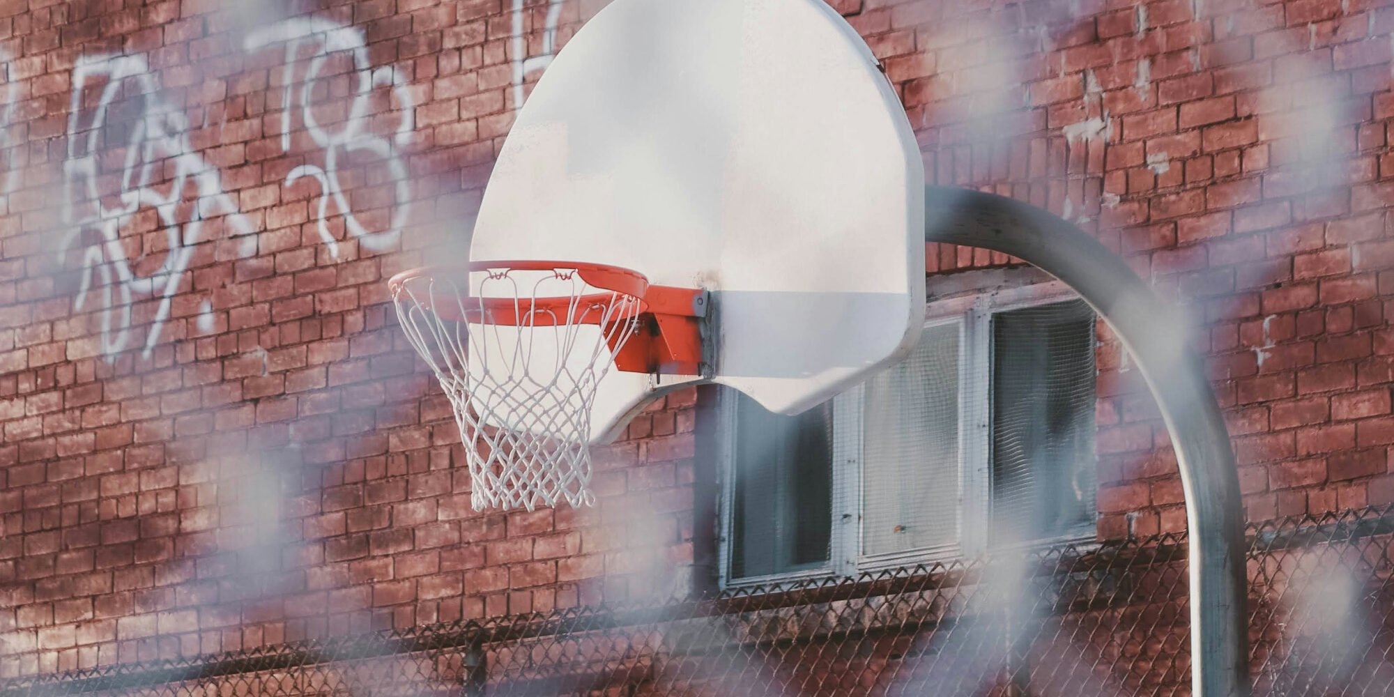 Out of Violence_Header